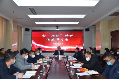 市信访局传达学习市“两会”精神